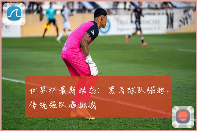 世界杯最新动态：黑马球队崛起，传统强队遇挑战